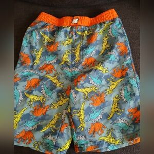 Boy's Lined Dinosaur Swim Trunks